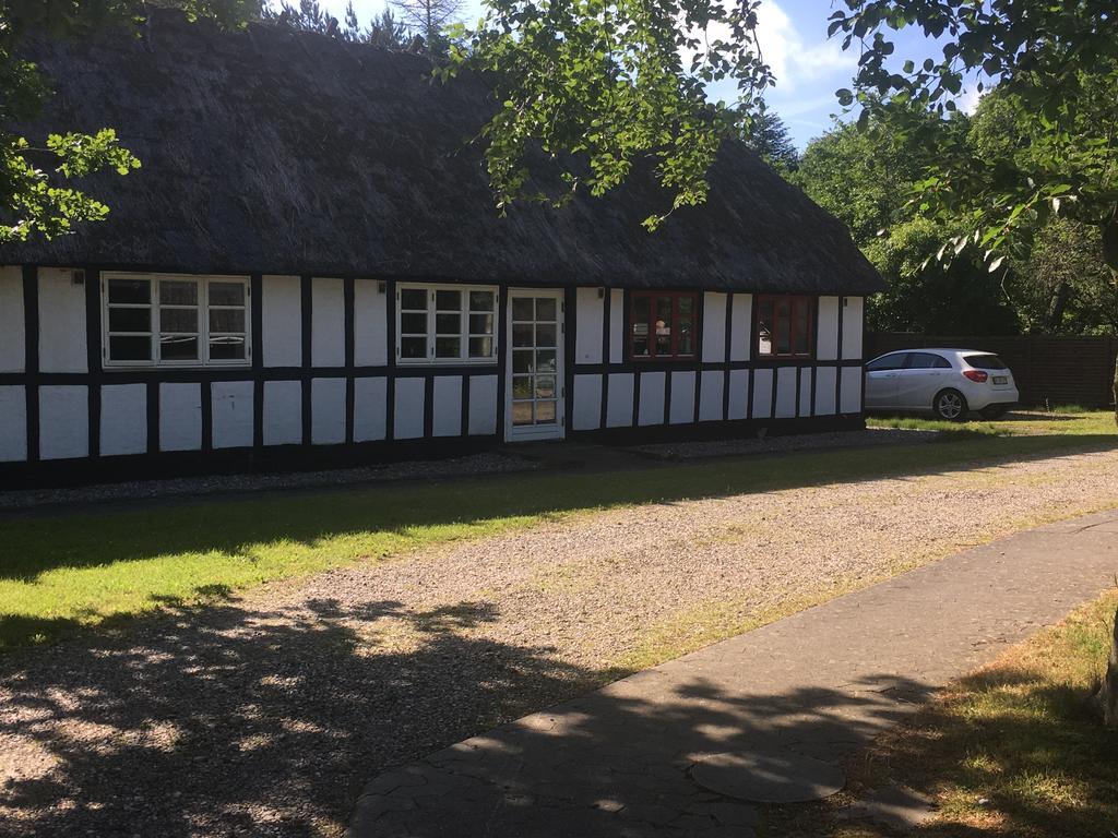 Dancamps Trelde Naes 3*
